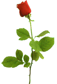 image6.gif (12338 bytes)